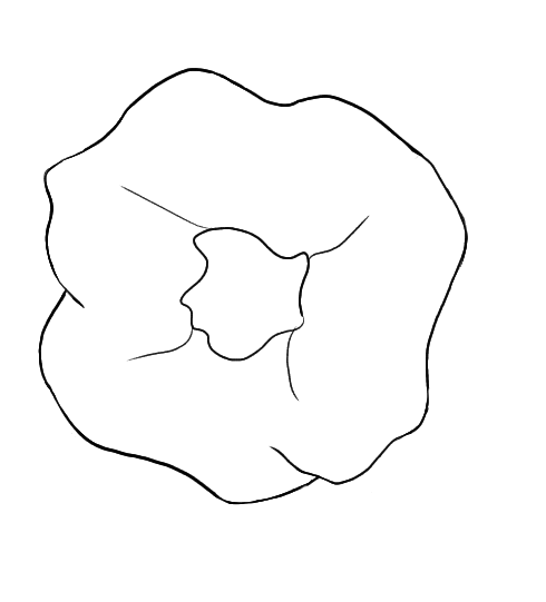 Scrunchie